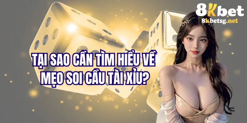 Lý do gì nên tận dụng mẹo soi cầu tài xỉu